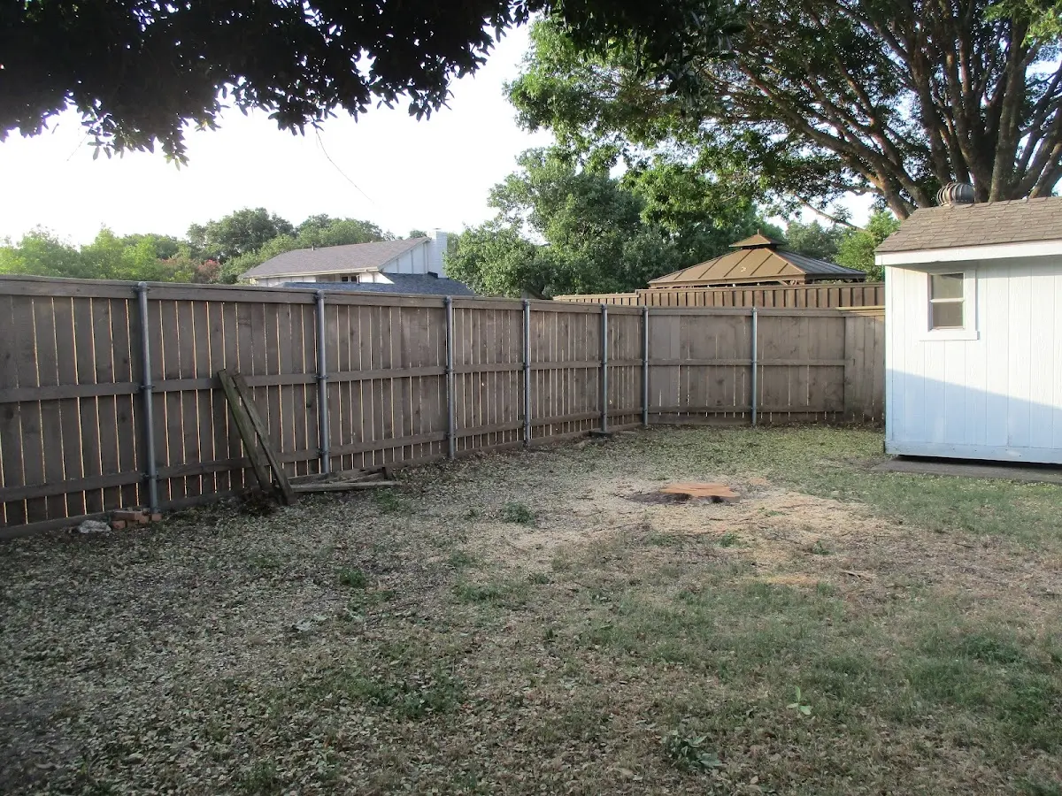 Cleared yard after professional tree removal in Kings Beach